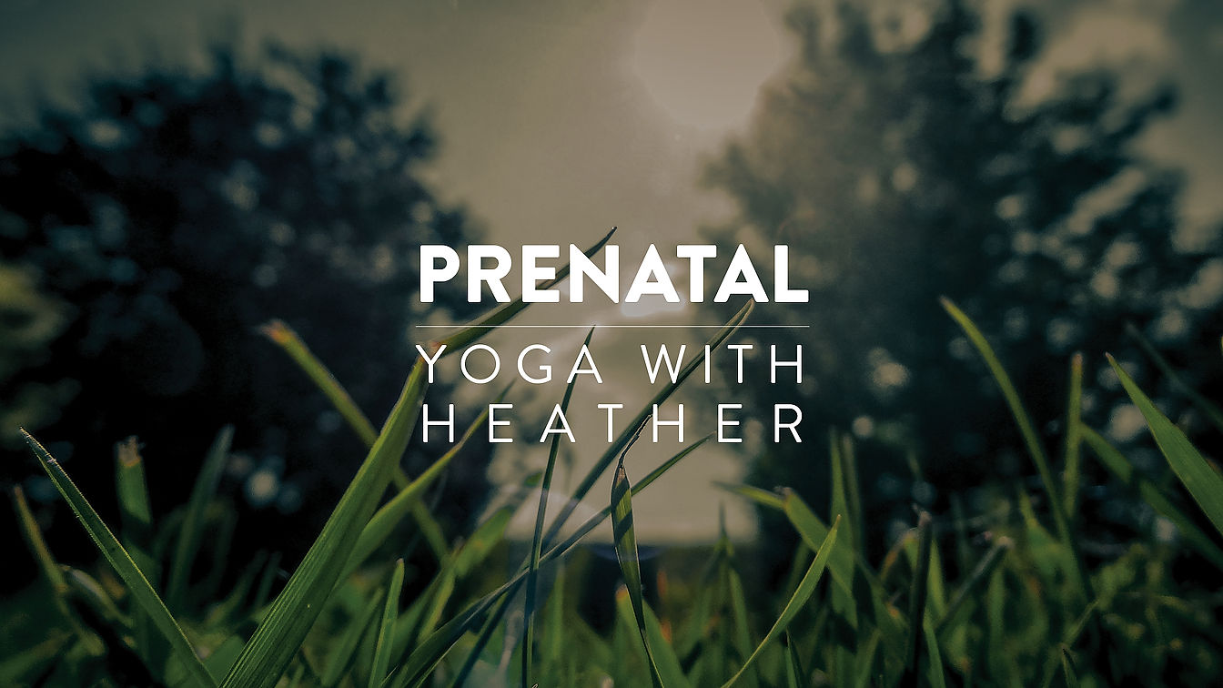 Prenatal Yoga Session